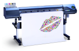 dpi dg printing