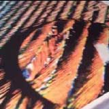 click to see the video